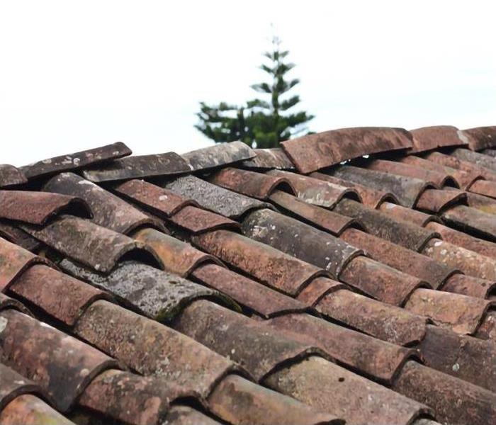 Old and dirty roof tiles that are in desperate need of repairs. 